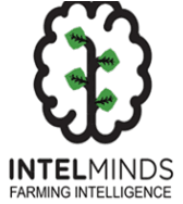 IntelMinds Academy