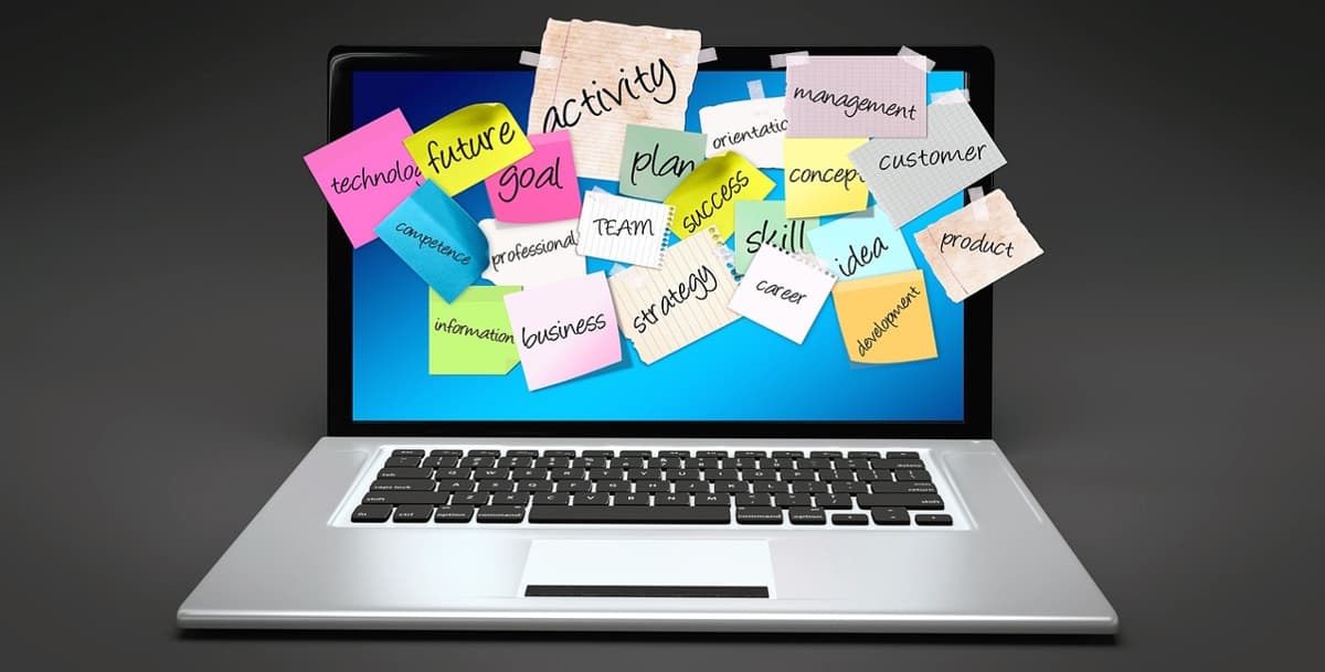Skills Development Planning